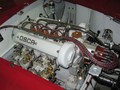 IMG 0276