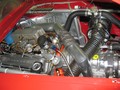 IMG 0286