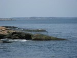 IMG 1699