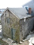IMG 1781