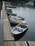 IMG 1791
