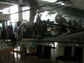 DSCN9500