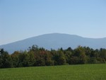 IMG 1601