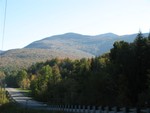 IMG 1651