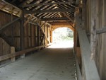 IMG 1689
