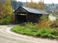 Highlight for Album: Fall Foliage