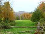 IMG 1710