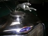 DSCN4769