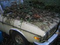 1973 Audi 100LS - 04