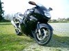 1997 Honda CBR1100XX 