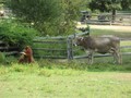 IMG 0001