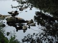 IMG 0014