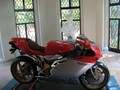 Highlight for Album: Italian Style Festival & Bike Meet