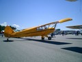 CIMG0081