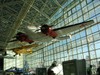 Museum of Flight