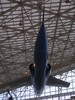 Museum of Flight
