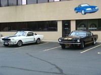 Highlight for Album: Mustangs Unlimited Show 04/27/08