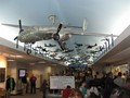 IMG 0754