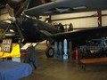 IMG 0818