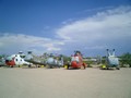 CIMG0106