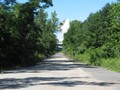 IMG 6538