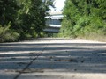 IMG 6540