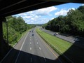 IMG 6545