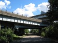 IMG 6546