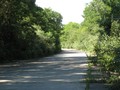IMG 6547