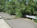 IMG 6548