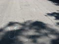 IMG 6549