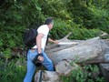 IMG 6553