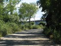 IMG 6555