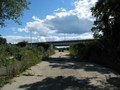 IMG 6556