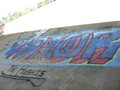 IMG 6561