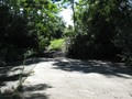 IMG 6565
