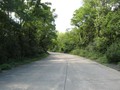 IMG 6566