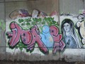 IMG 6567