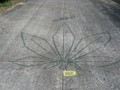 IMG 6571