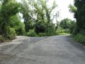 IMG 6572