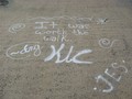 IMG 6581