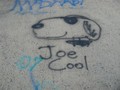 IMG 6586