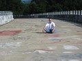 IMG 6588