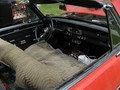 IMG 6632