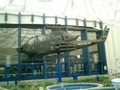 CIMG0197