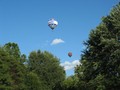 IMG 5690