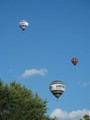 IMG 5696