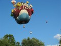 IMG 5709
