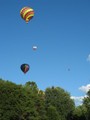 IMG 5711