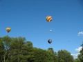 IMG 5712